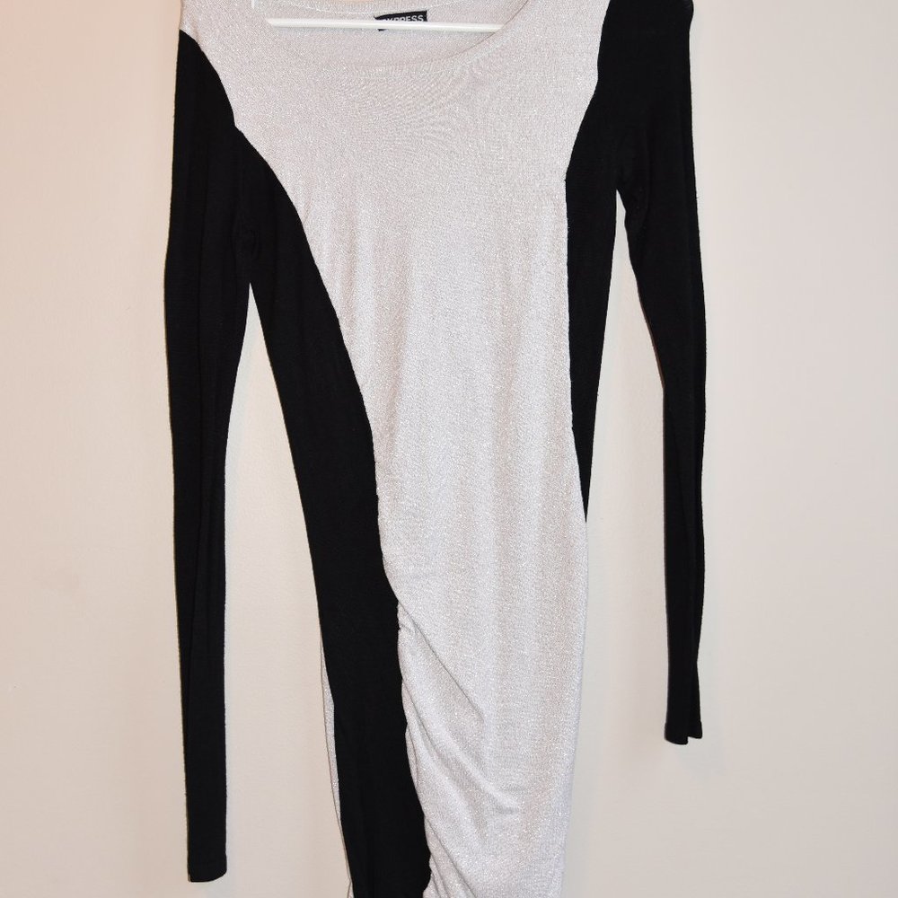 Express Sweater Dress